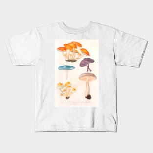 Mushroom species Kids T-Shirt